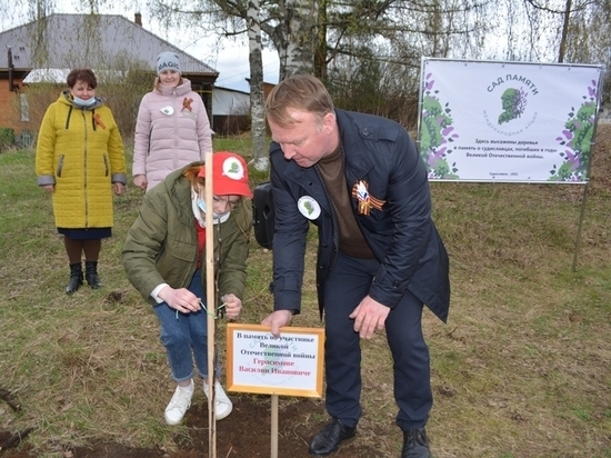 В Костромской области в рамках акции «Сад памяти» заложили новый яблоневый сад