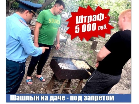 Не смотря на ливни и дожди, в Ярославской области продолжают штрафовать за шашлыки