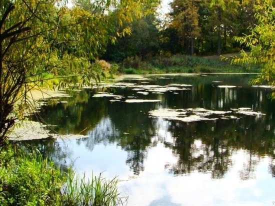 Несколько водных объектов решили очистить в Серпухове