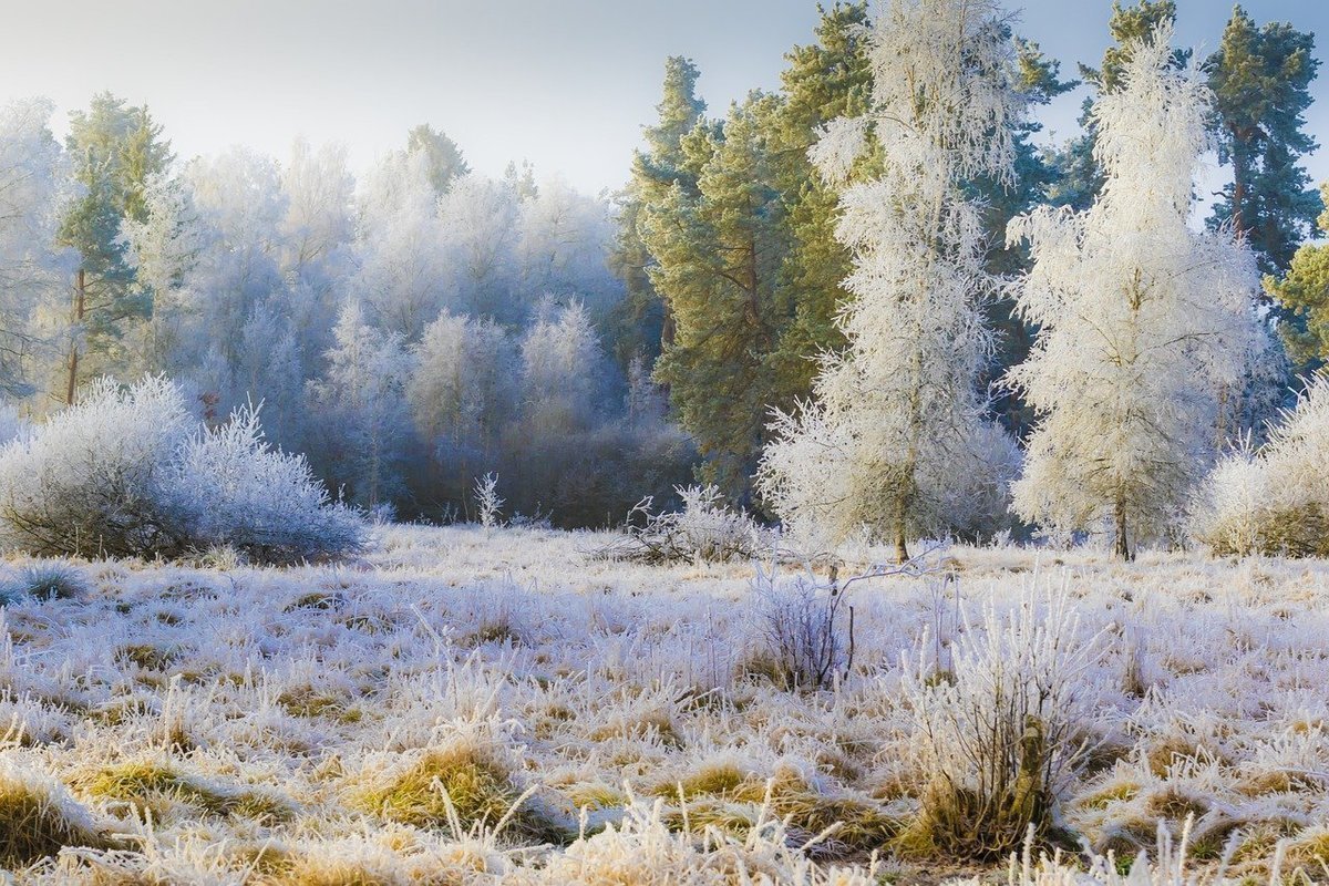 Hoarfrost