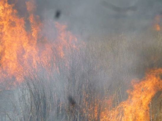 Омск окружили дым и гарь от горящих полей