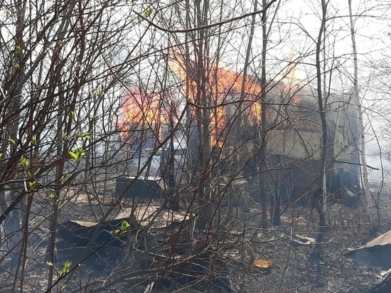 Под Новосибирском дачник поджег картон и спалил соседские постройки