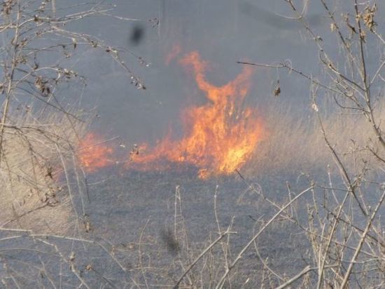 В Омской области причины большого пожара стала выяснять прокуратура