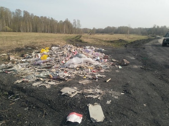 Кемеровчане пожаловались на свалку вдоль дороги в Кедровке