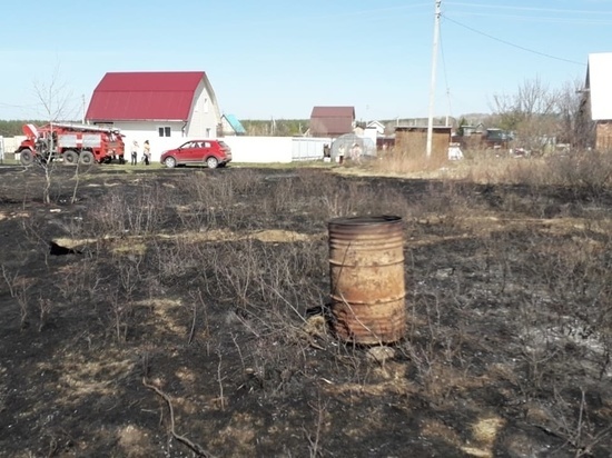 МЧС предупредило о сохранении высокой пожароопасности в Новосибирской области