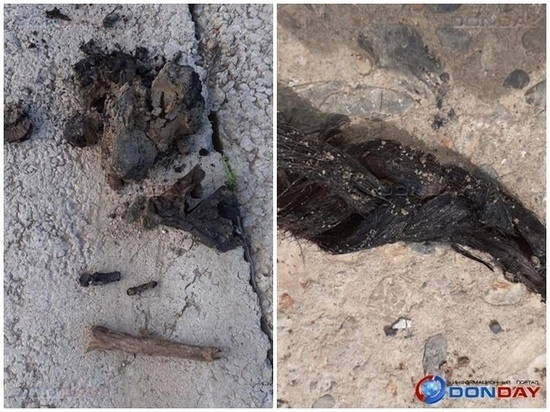 Поисковики обнаружили в Сальске останки 5-летней девочки