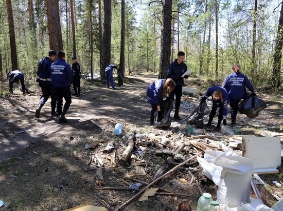 В Кургане очистили от мусора 7 гектаров леса