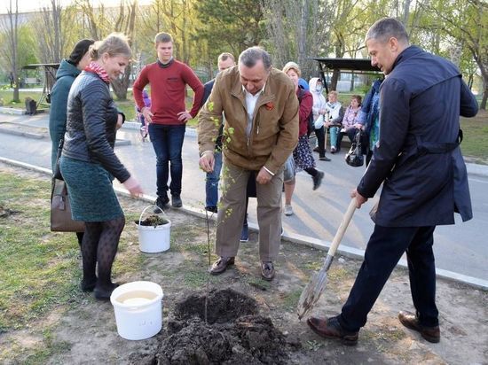 В честь ветеранов высадили в Приморье 400 деревьев
