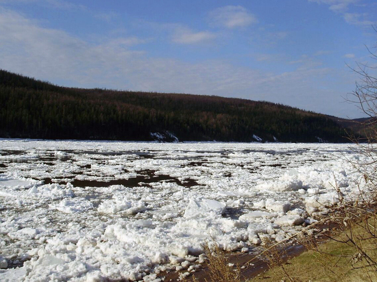 На утро 8 мая ледоход на реке Лена проходит в 560 км от границ Якутии
