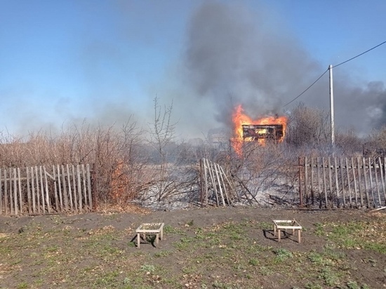 Полиция нашла поджигателей травы в двух районах Омской области
