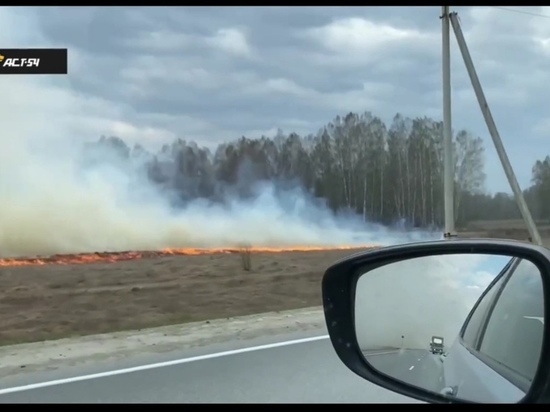 В Новосибирской области пожар подступил к газопроводу