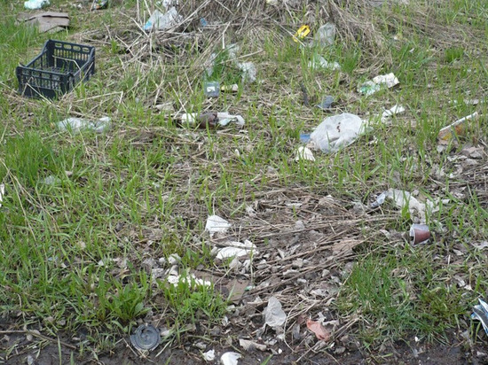Один сплошной мусор: псковичка просит убрать территорию возле городского виадука