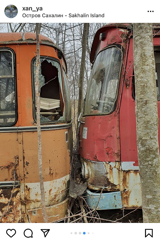 Заброшенные автобусы нашел в лесу сахалинец