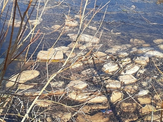 Сотни булок хлеба после Дня Победы неизвестные утопили в озере Ноябрьска
