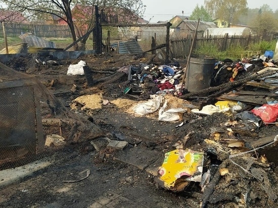 Десятки собак погибли при пожаре под Екатеринбургом