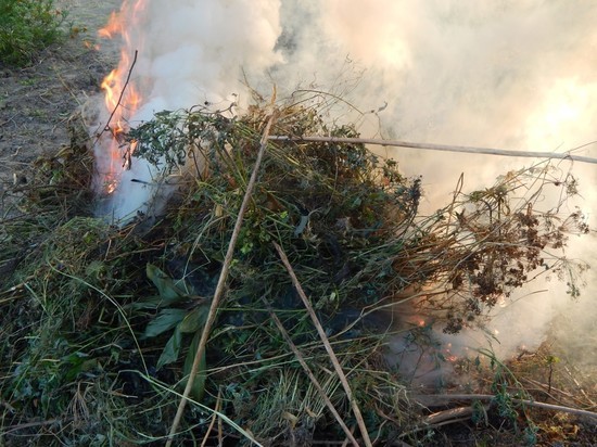 Пожарные остановили пал травы в Шахтерске