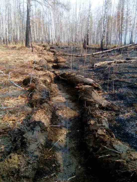 10 мая в лесах Приангарья зарегистрировали один пожар