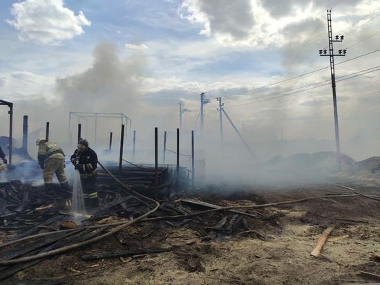 В Томске на территории пилорамы произошел пожар