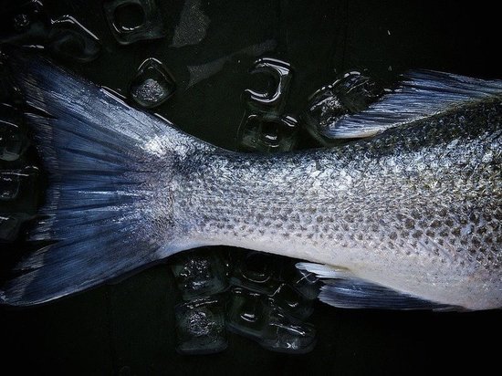 В кузбасском озере Танай массово погибла рыба