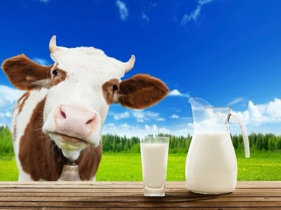 Россельхознадзор сообщил о результатах проверок свердловского молока на ингибиторы