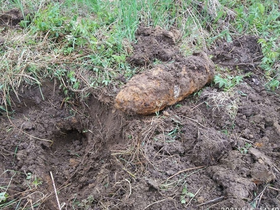 На Смоленщине обезвредили сотни боеприпасов времен войны в период майских праздников