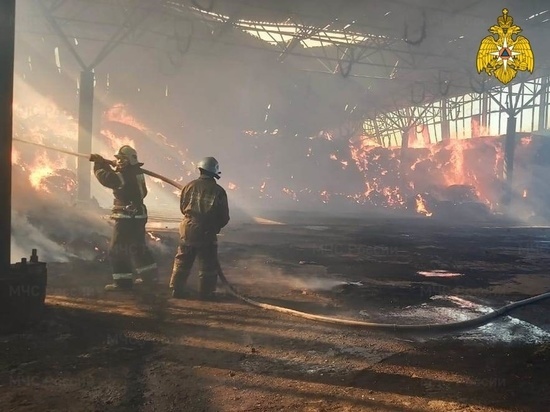 За майские выходные в Калужской области в ДТП и пожарах погибли 7 человек