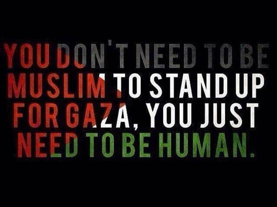 «Мусульман не победить»: Хабиб и многие другие поддержали палестинцев