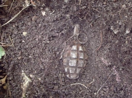 Опасный урожай: в Смоленске нашли гранату на дачном участке