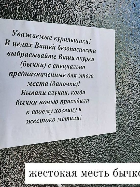 «Бычки будут мстить»: на Сахалине оригинально пристыдили курильщиков-нерях