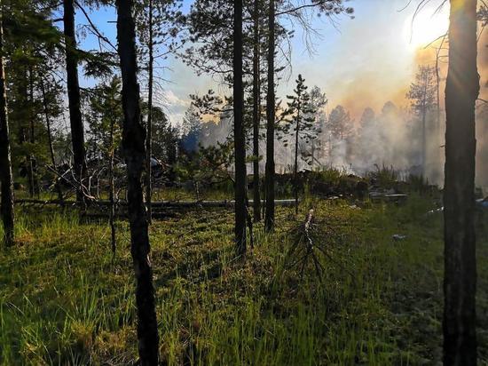 В Якутии действуют три природных пожара