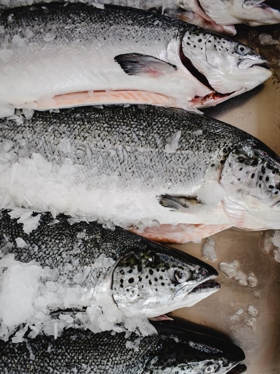 На Камчатке поймали первых продавцов браконьерского лосося