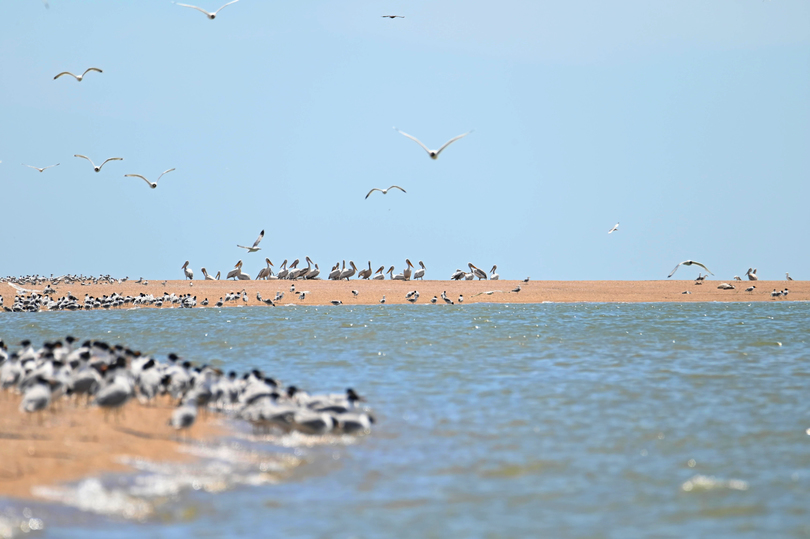 Каспийское море астрахань фото