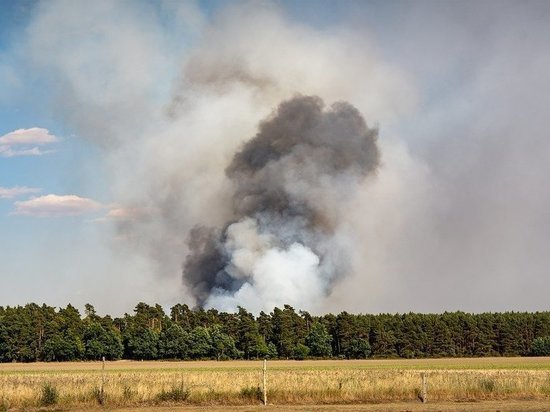 В Тюменской области потушено семь лесных пожаров