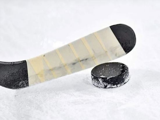 Более 20 хоккейных коробок установят в Приамурье к концу лета