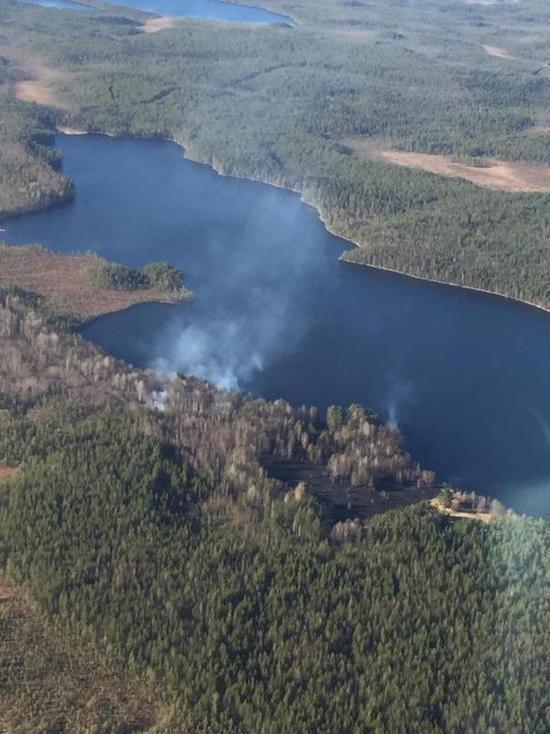 Шесть гектаров горящего леса потушили пожарные Карелии за сутки