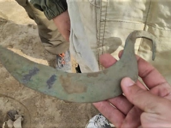 На раскопках в Темрюкском районе обнаружили древний бронзовый серп