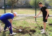 Депутат Госдумы Чепиков решил личным примером показать, что жителям городских кварталов вполне по силам озеленить свои дворы