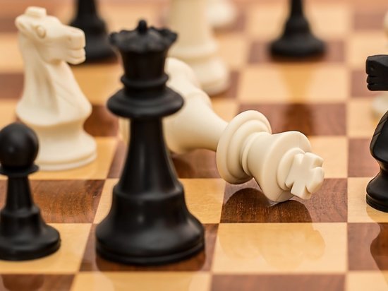 В Пскове подвели итоги шахматных соревнований «Белая ладья»