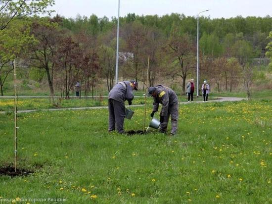 В Рязани в Комсомольском парке и на Бульваре Победы высадили деревья