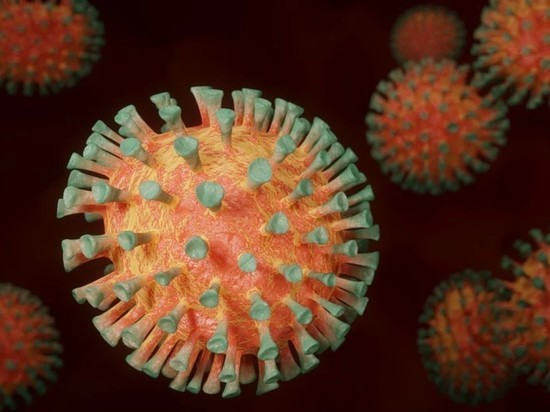Ученые нашли множество мутаций у индийского штамма коронавируса