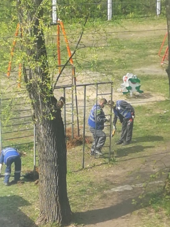 В одном из дворов Ярославля украли спорт городок