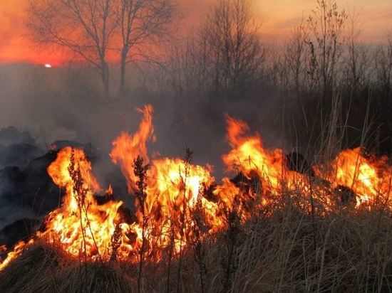 За десять дней майских каникул в Приамурье произошло почти 280 пожаров