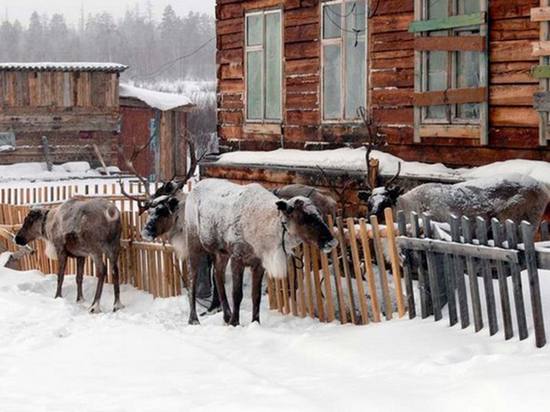 Две этнодеревни создадут на севере Красноярского края осенью 2021 года