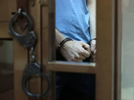 Бывшего вице-губернатора Мордовии Меркушкина арестовали на два месяца
