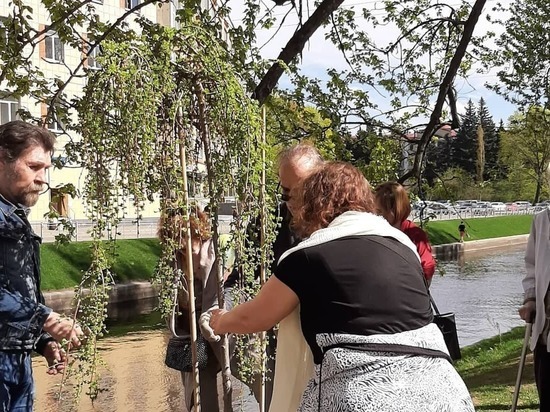 У Печального ангела в Петербурге высадили плакучую лиственницу в память об авторах памятника
