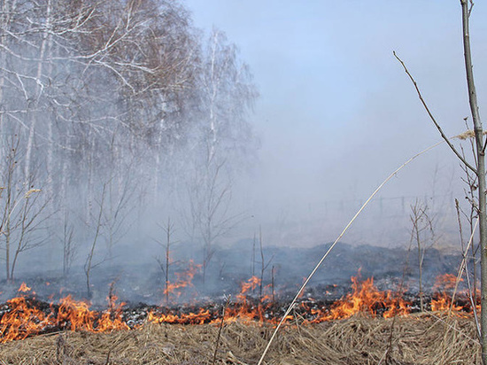 Горят 7 гектаров: пожароопасный сезон начался в лесах ЯНАО