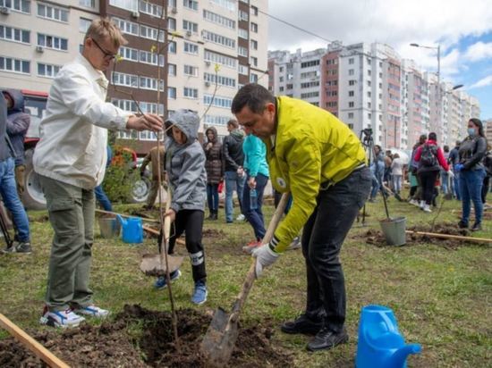 В Благовещенске высадили аллею в честь героев Великой Отечественной войны