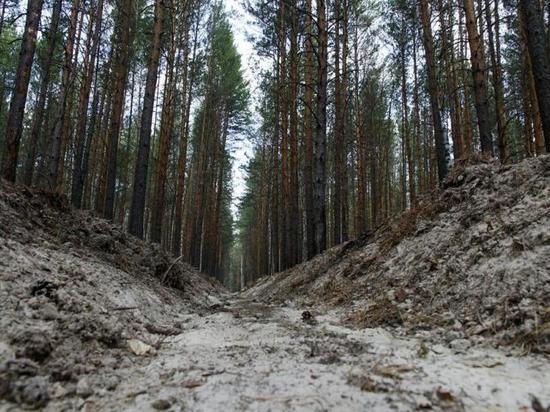В Тюменской области закрыты для посещения лесные базы отдыха