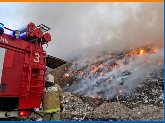 После пожара на свалке в Рязани загрязняющих веществ в воздухе не выявили