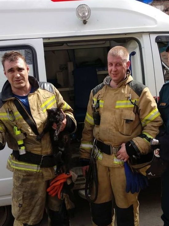 На пожаре в Иркутске пожарные спасли кота